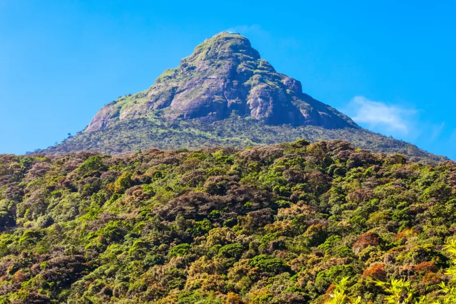 প্রথম মানব হযরত আদম (আ)-এর সৃষ্টির ইতিহাস (সূরা বাকারা)