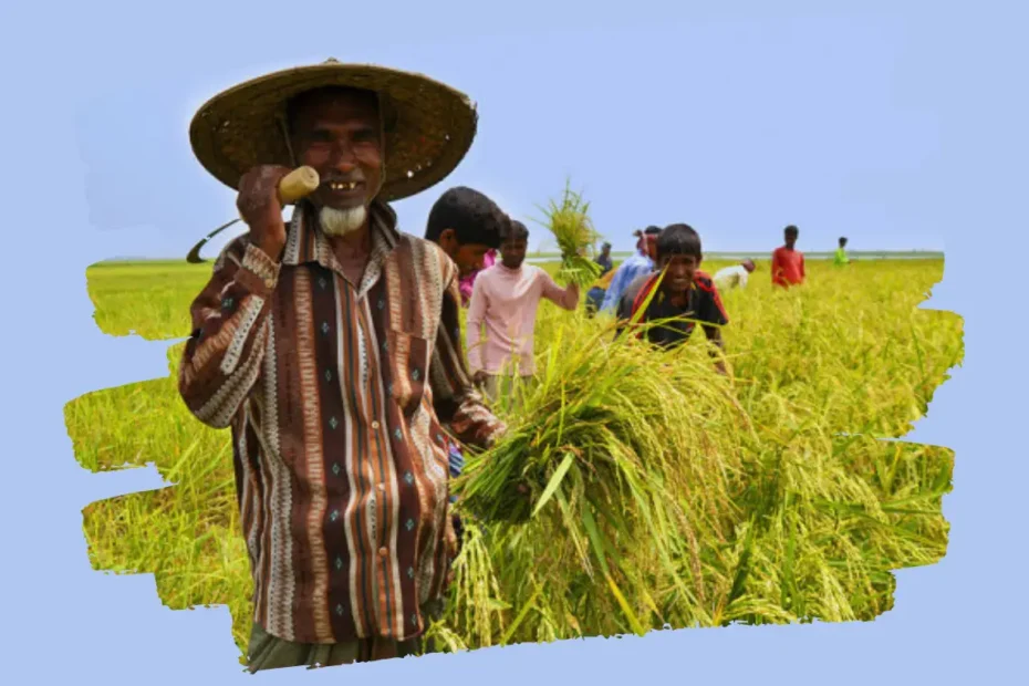 কৃষি এবং আমাদের সংস্কৃতি