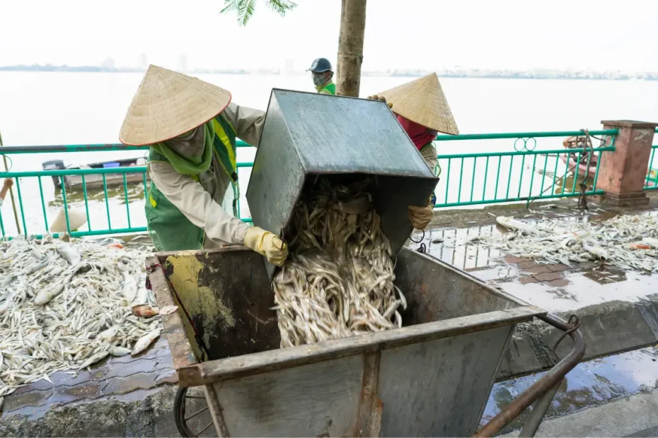 মাছ পচে কেন ব্যাখ্যা কর, কোন পদ্ধতির মাধ্যমে মাছকে দীর্ঘ সময় সংরক্ষণ করা যায়, মাছ