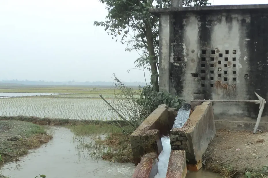 পানি সেচ কাকে বলে, পানি সেচের প্রয়োজনীয়তা কি, সেচের পানির মূল উৎস কোনটি