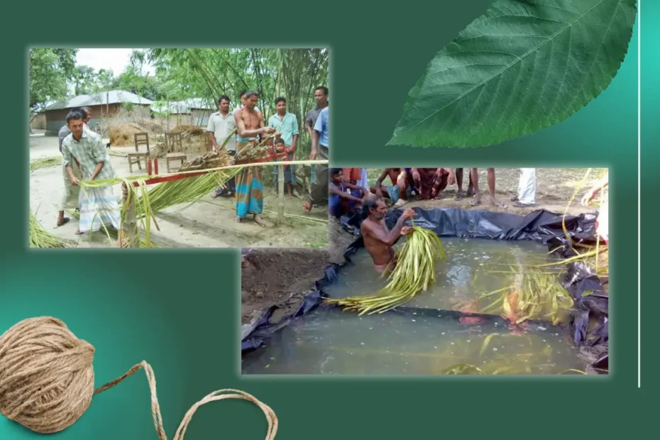 রিবন কি, রিবন রেটিং কি, পাটের রিবন রেটিং কেন করা হয়, এ পদ্ধতির উদ্ভাবক কে, পাটের রিবন রেটিং