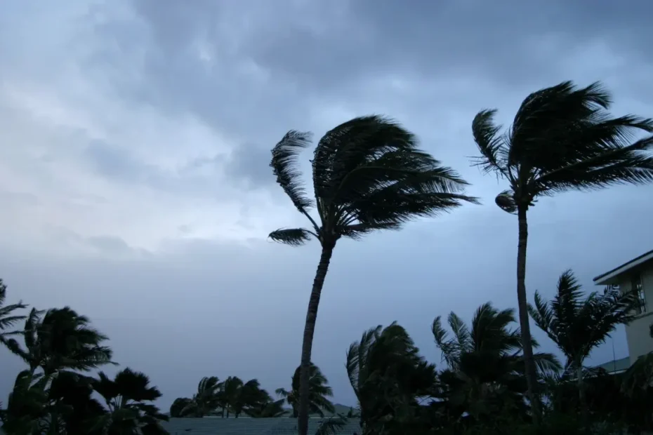 মৌসুমী বায়ু কাকে বলে, বাংলাদেশের কৃষিতে মৌসুমি জলবায়ুর গুরুত্ব ও উপযোগিতা