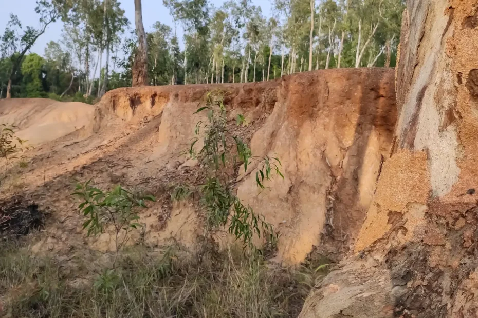 ভূমিক্ষয়ের প্রকারভেদ ও ভূমিক্ষয়ের ফলাফল বা কুফল