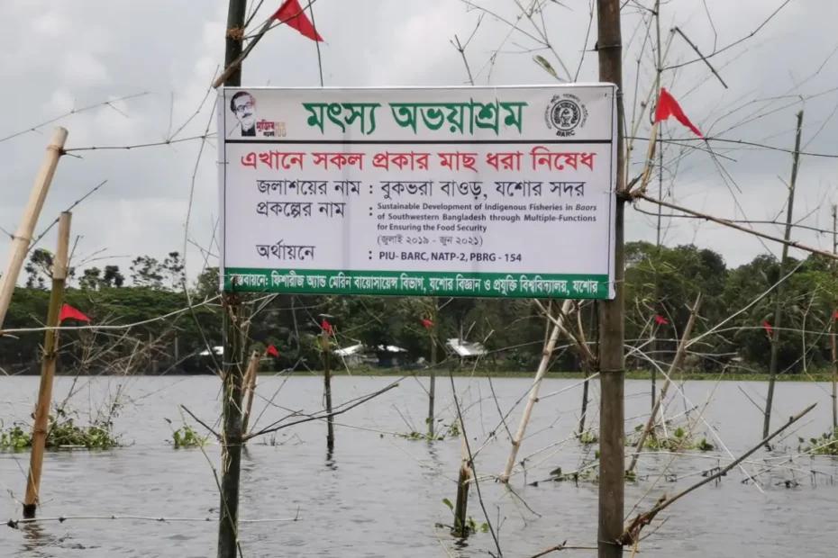 মৎস্য অভয়াশ্রম কি বা মাছের অভয়াশ্রম কি, বাংলাদেশের মৎস্য সংরক্ষণ আইন